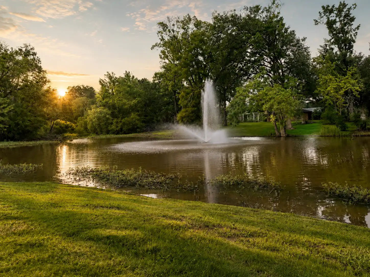 The professionally designed entry pond at Highlake